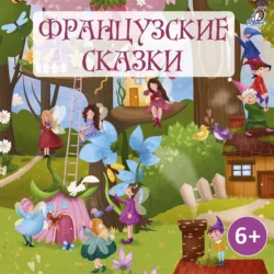 Французские сказки, audiobook Народного творчества. ISDN71069872