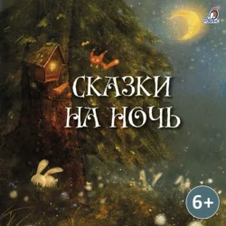 Сказки на ночь, audiobook . ISDN71070091