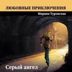 Серый ангел, audiobook Марины Туровской. ISDN71073760