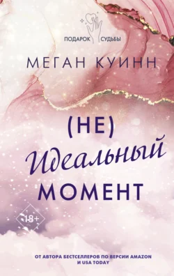 (Не)идеальный момент, audiobook Меган Куинн. ISDN71088172