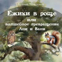 Ежики в роще или волшебное превращение Ани и Вани, аудиокнига Ксении Вадимовны Чечеткиной. ISDN71088337