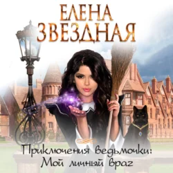 Мой личный враг, аудиокнига Елены Звездной. ISDN71109058