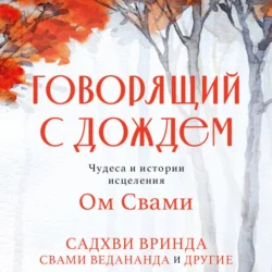 Говорящий с дождем. Чудеса и истории исцеления Ом Свами, audiobook Садхви Вринды Ом. ISDN71110036