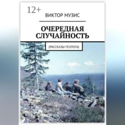 Очередная случайность, audiobook Виктора Музиса. ISDN71114818