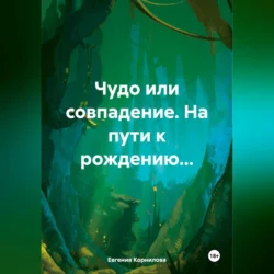 Чудо или совпадение. На пути к рождению…, audiobook Евгении Андреевны Корниловой. ISDN71115634