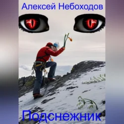 Подснежник, audiobook Алексея Небоходова. ISDN71116138