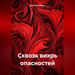 Сквозь вихрь опасностей, аудиокнига Дмитрия Алексеевича Кудымова. ISDN71116525