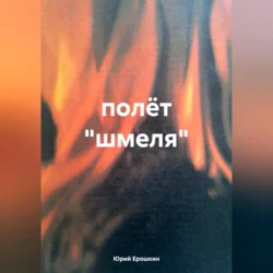 полёт «шмеля» - Юрий Ерошкин