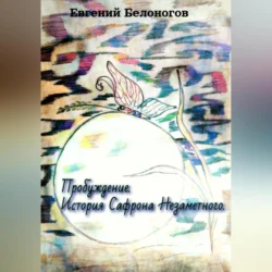 Пробуждение. История Сафрона Незаметного - Евгений Белоногов