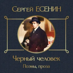 Черный человек. Поэмы, проза - Сергей Есенин