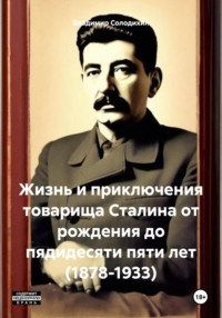 Жизнь и приключения товарища Сталина от рождения до пядидесяти пяти лет (1878-1933) - Владимир Солодихин