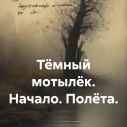 Тёмный мотылёк. Начало. Полёта., аудиокнига Николая Владиленовича Бережного. ISDN71130694