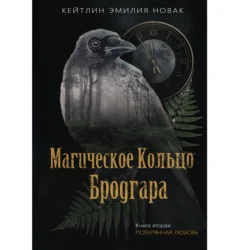 Магическое Кольцо Бродгара. Часть 2. Потерянная Любовь - Кейтлин Эмилия Новак