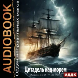 Орден неправильных магов. Книга 2. Цитадель над морем - Алексей Пинчук