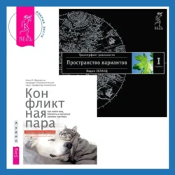 Конфликтная пара. Как найти мир, близость и научиться уважать партнера. Поведенческая терапия + Трансерфинг реальности. Ступень I: Пространство вариантов - Вадим Зеланд