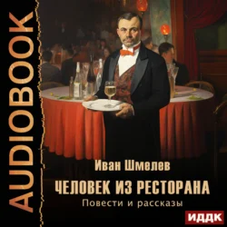 Человек из ресторана. Повести и рассказы - Иван Шмелев