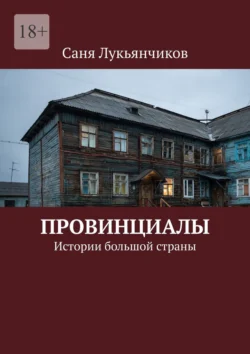 Провинциалы. Истории большой страны - Саня Лукьянчиков