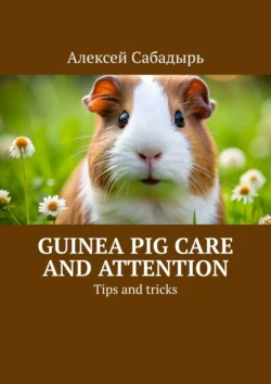 Guinea pig care and attention. Tips and tricks - Алексей Сабадырь