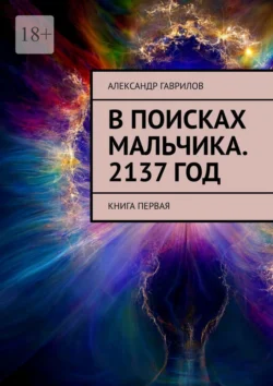 В поисках мальчика. 2137 год. Книга первая - Александр Гаврилов