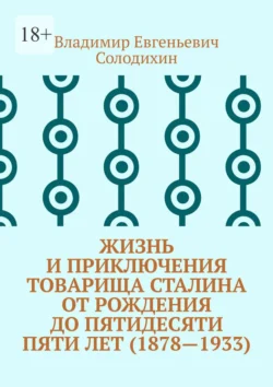 Жизнь и приключения товарища Сталина от рождения до пятидесяти пяти лет (1878—1933) - Владимир Солодихин