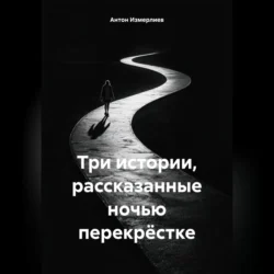 Три истории, рассказанные ночью перекрёстке, аудиокнига Антона Аркадьевича Измерлиева. ISDN71150122