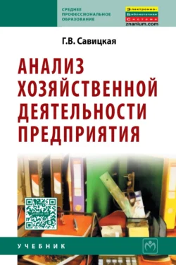 Анализ эффективности и рисков предпринимательской деятельности: Методологические аспекты. Монография - Глафира Савицкая