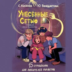 Унесённые Сетью. Страшилки для любителей гаджетов, аудиокнига Юлии Венедиктовой. ISDN71155174