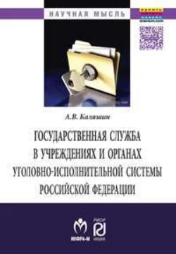 Государственная служба в учреждениях и органах уголовно-исполнительной системы РФ: теория и практика развития - Андрей Каляшин