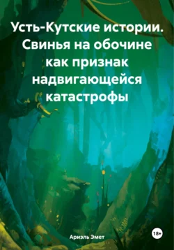 Усть-Кутские истории. Свинья на обочине как признак надвигающейся катастрофы - Ариэль Эмет