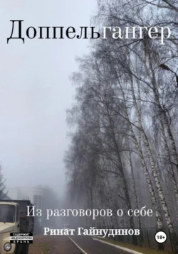 Доппельгангер. Из разговоров о себе - Ринат Гайнудинов