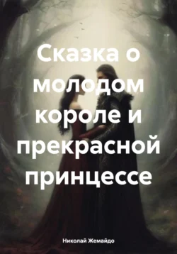 Сказка о молодом короле и прекрасной принцессе - Николай Жемайдо