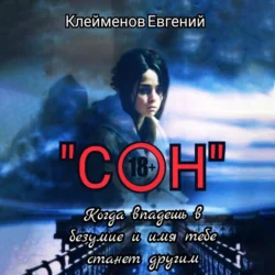 Сон. Когда впадешь в безумие и имя тебе станет другим, audiobook Евгения Юрьевича Клейменова. ISDN71169286