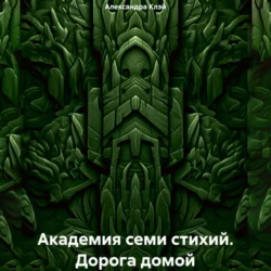 Академия семи стихий. Дорога домой, аудиокнига Александры Клэй. ISDN71169292