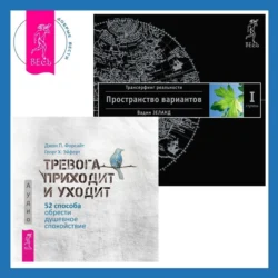 Тревога приходит и уходит. 52 способа обрести душевное спокойствие + Трансерфинг реальности. Ступень I: Пространство вариантов - Вадим Зеланд