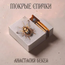 Мокрые спички - Анастасия Бекей