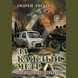 За каждый метр. «Лейтенантская проза» СВО - Андрей Лисьев