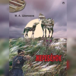 Жеребенок, audiobook Михаила Шолохова. ISDN71176243