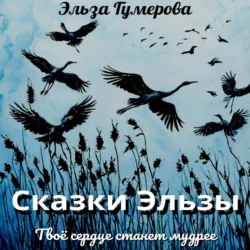 Сказки Эльзы - Эльза Гумерова