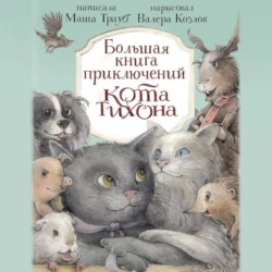 Большая книга приключений кота Тихона, аудиокнига Маши Трауб. ISDN71183131