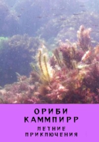 Летние приключения, аудиокнига Ориби Каммпирр. ISDN71186500