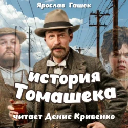 История старосты Томашека - Ярослав Гашек