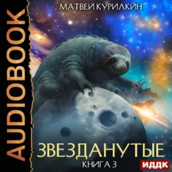 Звезданутые. Книга 3. Звезданутые во мгле - Матвей Курилкин