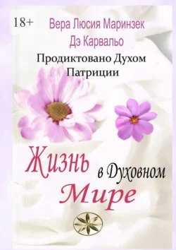 Жизнь в Духовном Мире. Продиктовано Духом Патриции - Вера Люсия Маринзек Дэ Карвальо