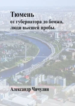 Тюмень. От Губернатора до Бомжа, люди высшей пробы - Александр Чичулин