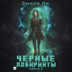 Черные лабиринты. Книга 2 - Эмили Ли