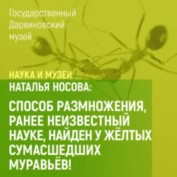 Способ размножения, ранее неизвестный науке, найден у желтых сумасшедших муравьев! - Наталья Носова