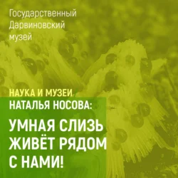 Умная слизь живет рядом с нами! - Наталья Носова