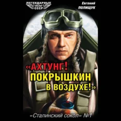 «Ахтунг! Покрышкин в воздухе!». «Сталинский сокол» № 1, аудиокнига Евгения Полищука. ISDN71204068