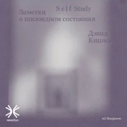 Self Study: Заметки о шизоидном состоянии - Дэвид Кишик