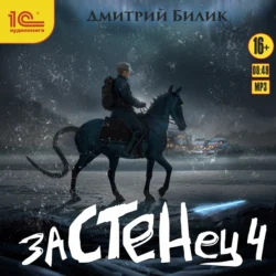 Застенец. Книга 4 - Дмитрий Билик